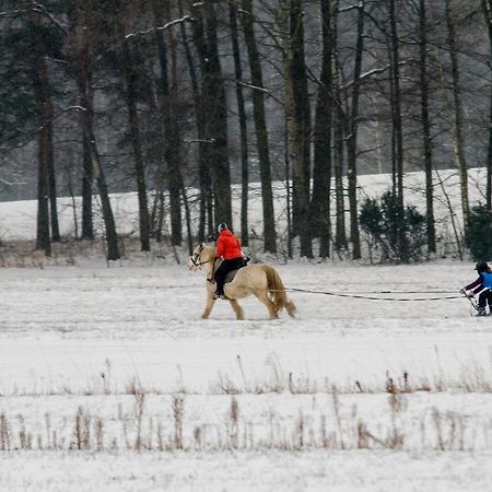 Kolorowe Wzgorze Agroturystyka I Konie Trojanow Extérieur photo