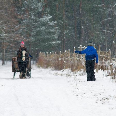 Kolorowe Wzgorze Agroturystyka I Konie Trojanow Extérieur photo