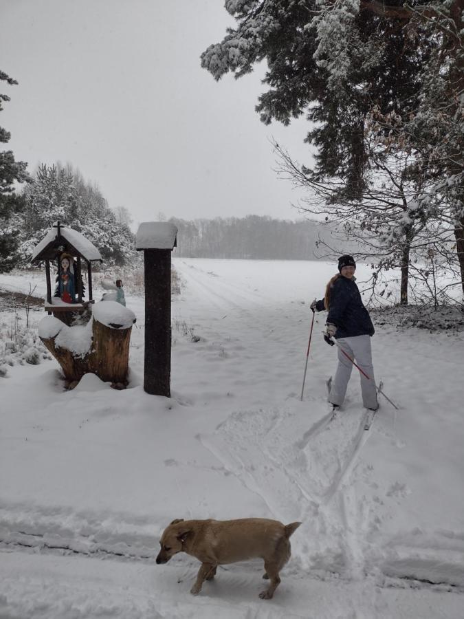 Kolorowe Wzgorze Agroturystyka I Konie Trojanow Extérieur photo