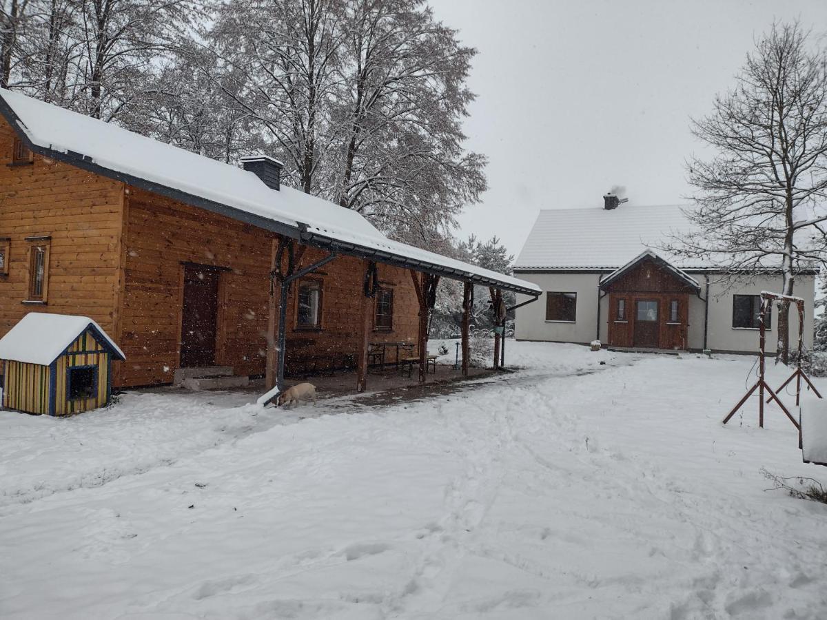 Kolorowe Wzgorze Agroturystyka I Konie Trojanow Extérieur photo