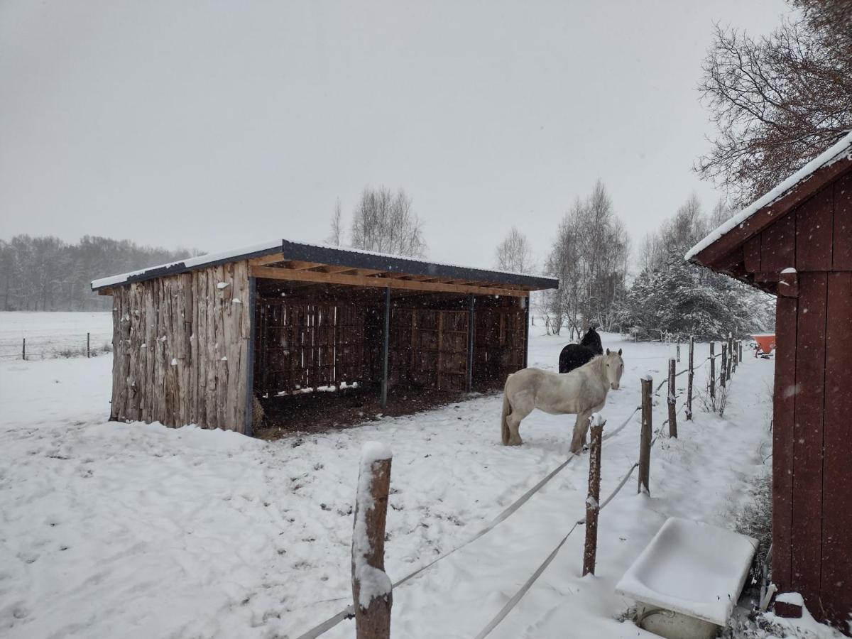 Kolorowe Wzgorze Agroturystyka I Konie Trojanow Extérieur photo