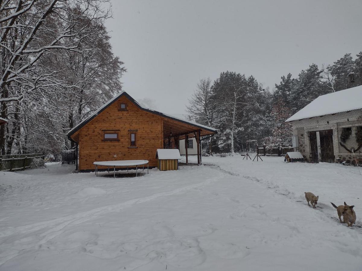 Kolorowe Wzgorze Agroturystyka I Konie Trojanow Extérieur photo