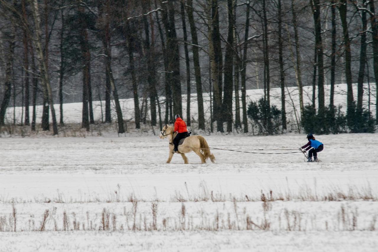 Kolorowe Wzgorze Agroturystyka I Konie Trojanow Extérieur photo