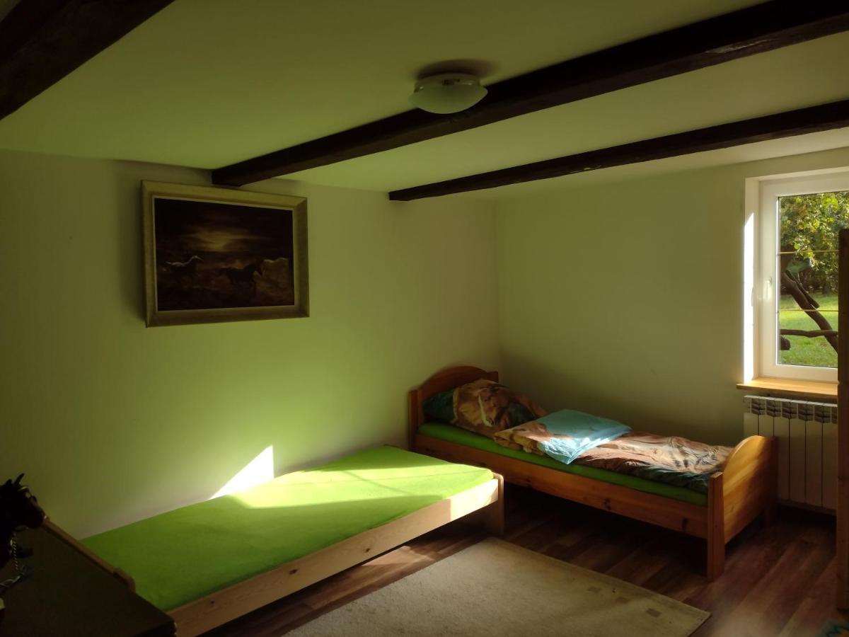 Kolorowe Wzgorze Agroturystyka I Konie Trojanow Extérieur photo