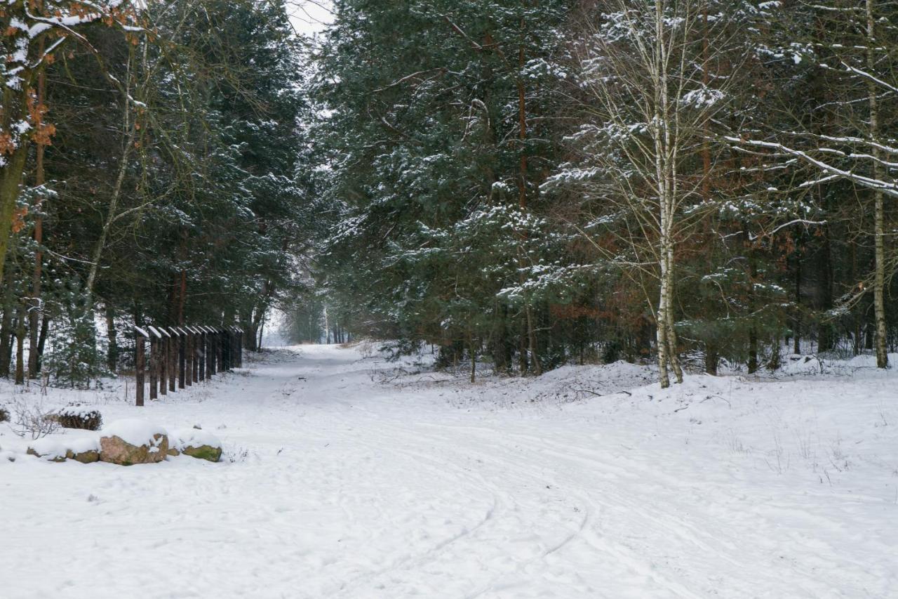 Kolorowe Wzgorze Agroturystyka I Konie Trojanow Extérieur photo