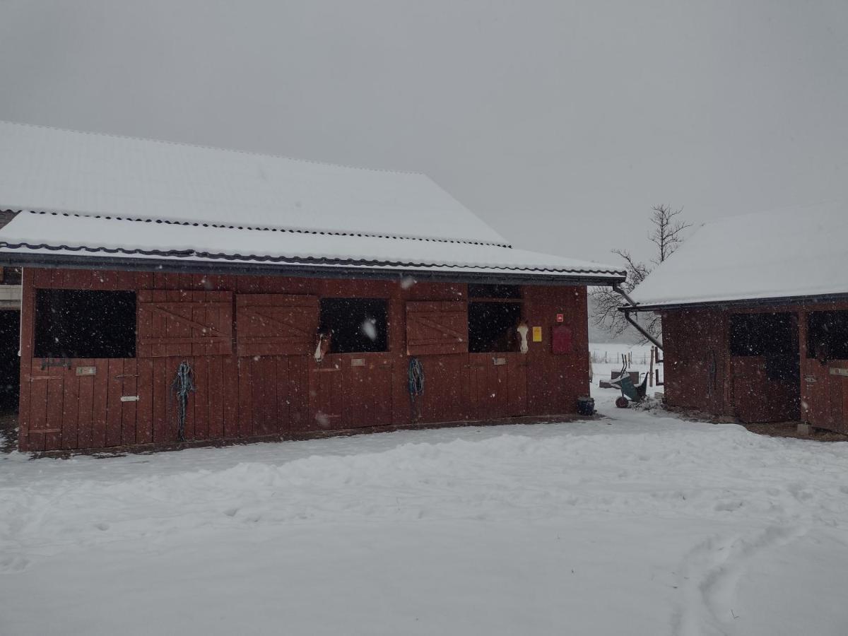 Kolorowe Wzgorze Agroturystyka I Konie Trojanow Extérieur photo