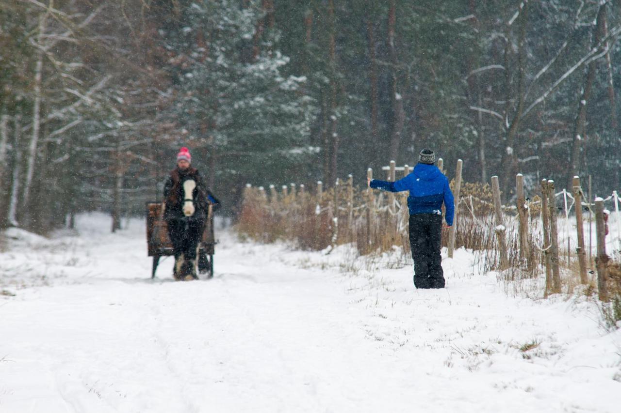 Kolorowe Wzgorze Agroturystyka I Konie Trojanow Extérieur photo