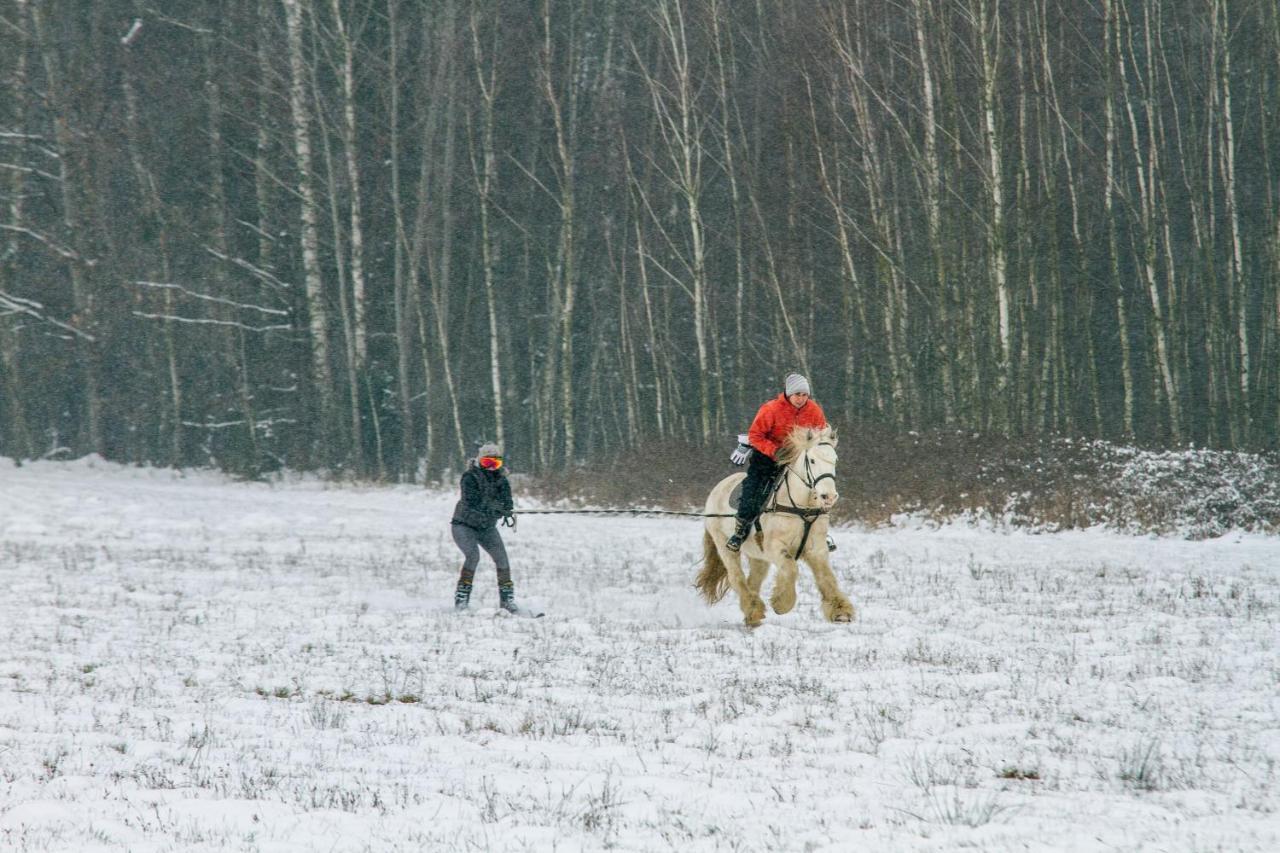Kolorowe Wzgorze Agroturystyka I Konie Trojanow Extérieur photo