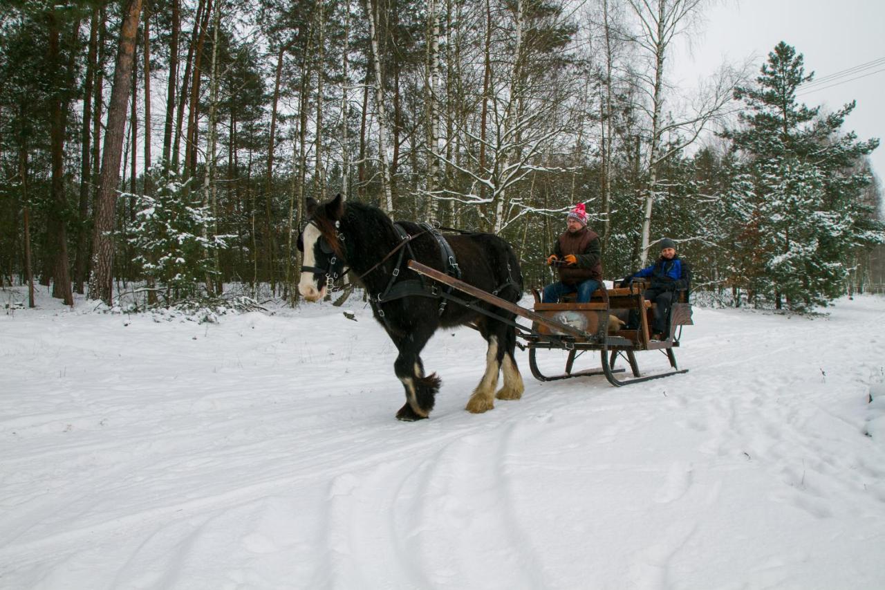 Kolorowe Wzgorze Agroturystyka I Konie Trojanow Extérieur photo