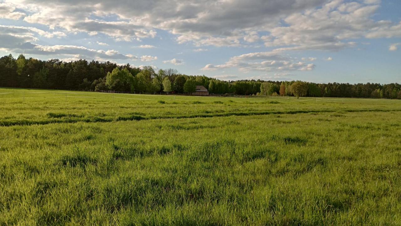 Kolorowe Wzgorze Agroturystyka I Konie Trojanow Extérieur photo
