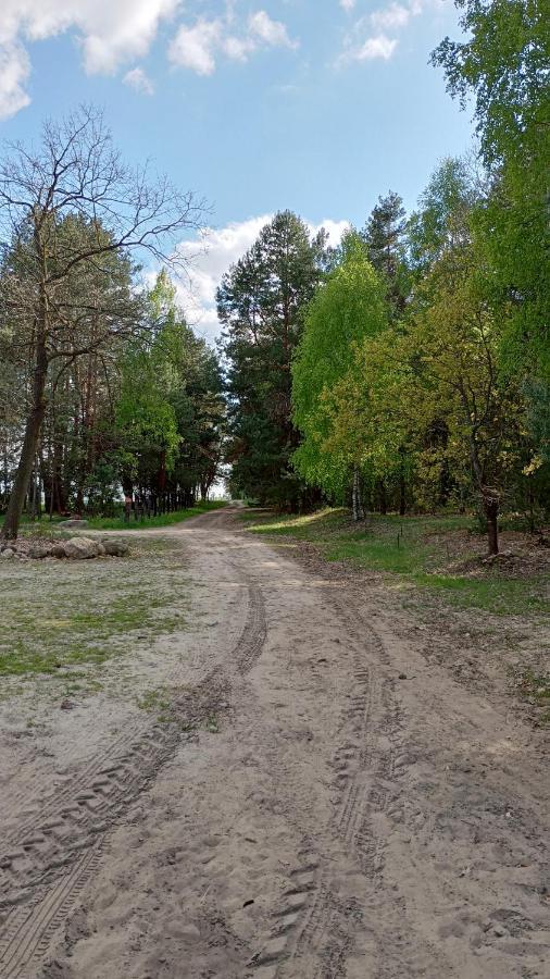 Kolorowe Wzgorze Agroturystyka I Konie Trojanow Extérieur photo