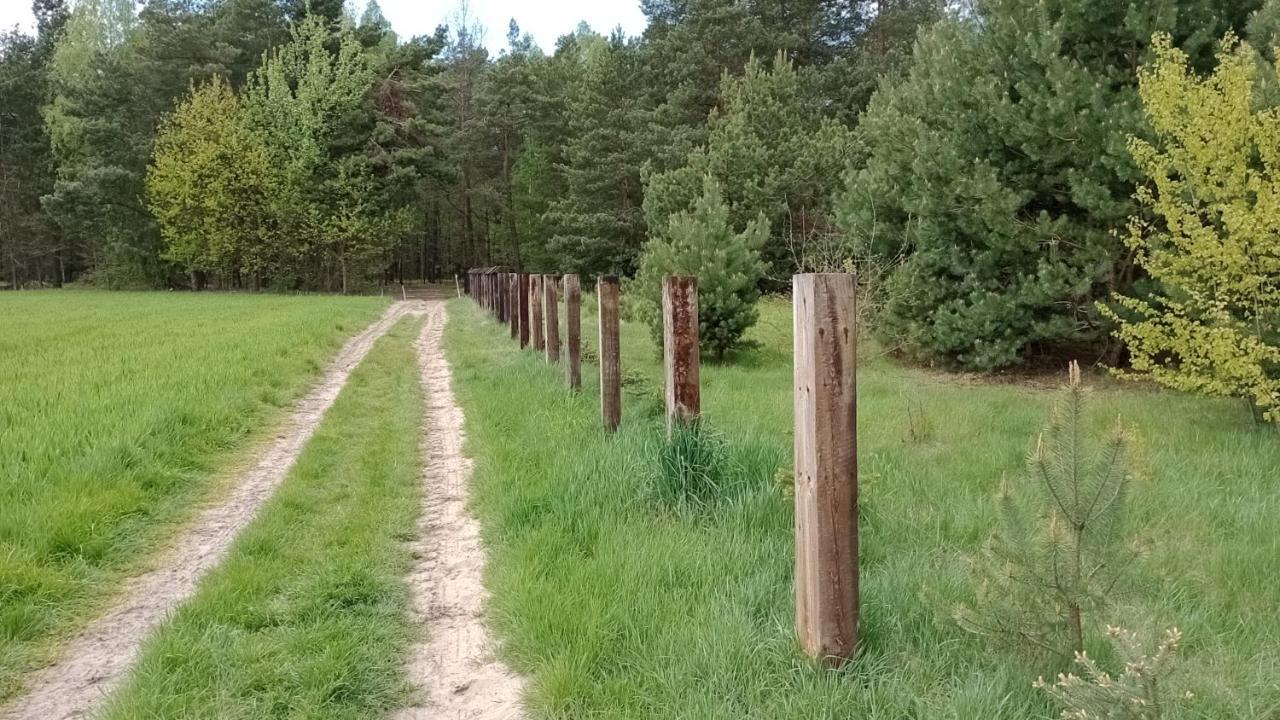 Kolorowe Wzgorze Agroturystyka I Konie Trojanow Extérieur photo